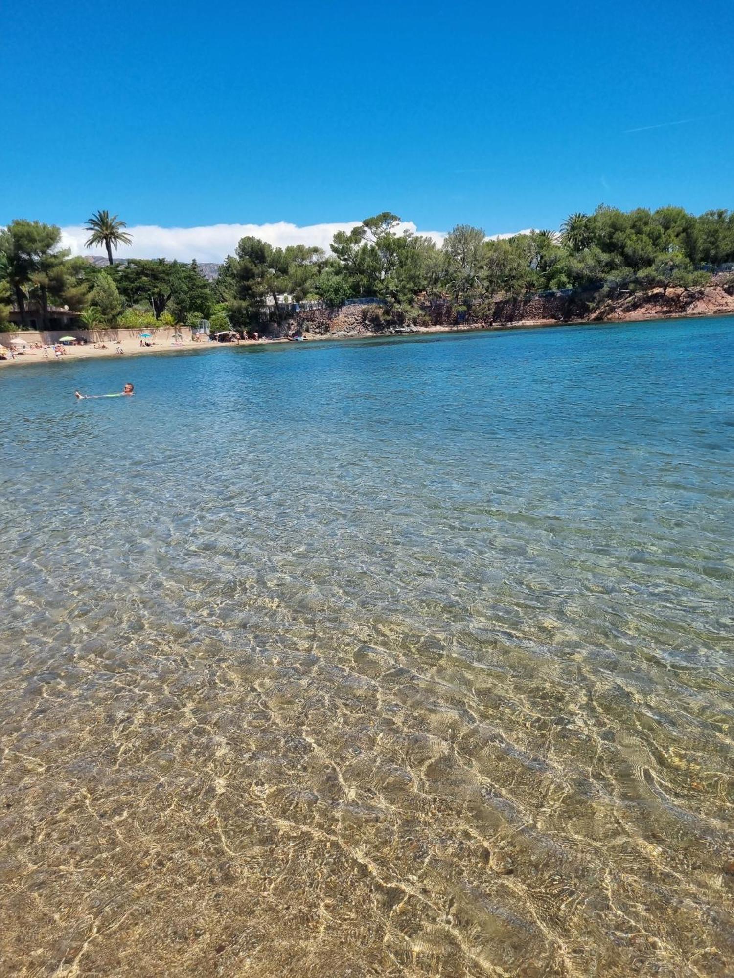 Studio 4P Vue Piscine St Raphael Valescure - Au Coeur Des Golfs Saint-Raphaël エクステリア 写真