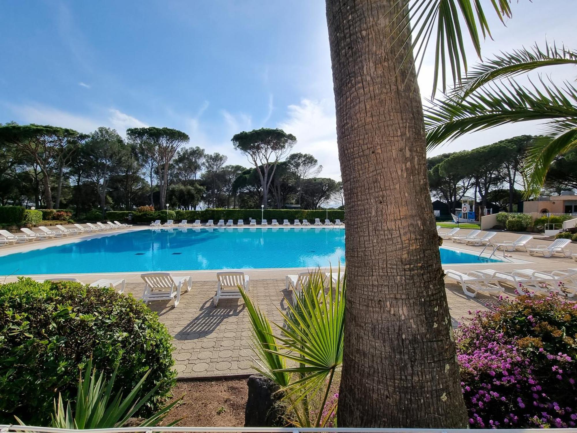 Studio 4P Vue Piscine St Raphael Valescure - Au Coeur Des Golfs Saint-Raphaël エクステリア 写真